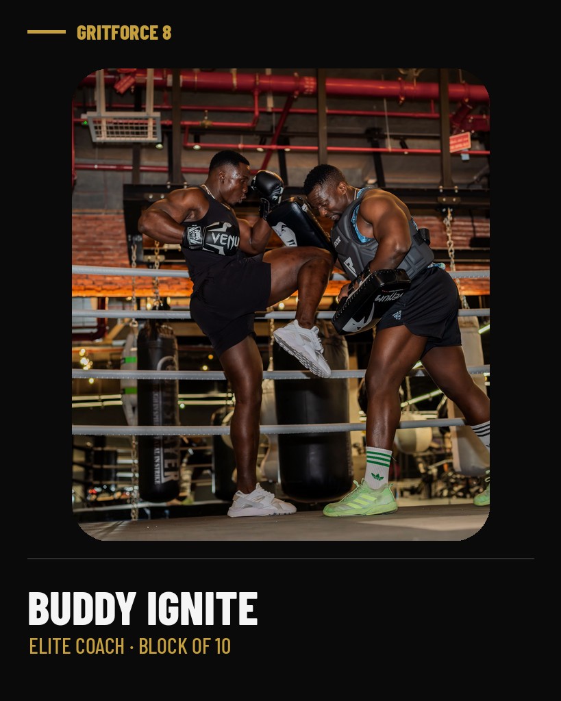 Buddy Ignite Phase - Elite Coach - Block of 8